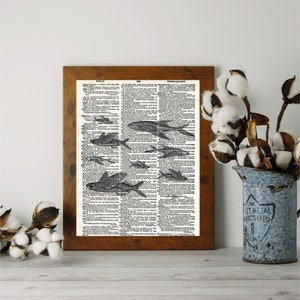 Puede incluir: Una p&aacute;gina de diccionario vintage con una ilustraci&oacute;n en blanco y negro de un banco de peces nadando. La p&aacute;gina est&aacute; enmarcada en un marco de madera marr&oacute;n.