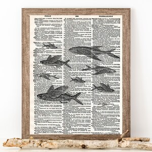 Puede incluir: Una p&aacute;gina de diccionario vintage con una ilustraci&oacute;n en blanco y negro de peces. La p&aacute;gina est&aacute; enmarcada en un marco de madera marr&oacute;n claro. El texto en la p&aacute;gina incluye las palabras "Freak" y "Masoner&iacute;a".