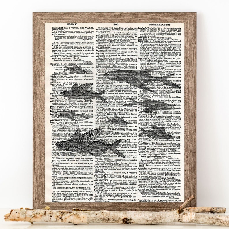 Puede incluir: Una p&aacute;gina de diccionario vintage con una ilustraci&oacute;n en blanco y negro de peces. La p&aacute;gina est&aacute; enmarcada en un marco de madera marr&oacute;n claro. El texto en la p&aacute;gina incluye las palabras "Freak" y "Masoner&iacute;a".