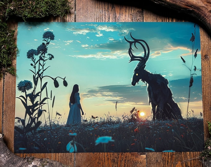 Under The Midnight Sun Art Print