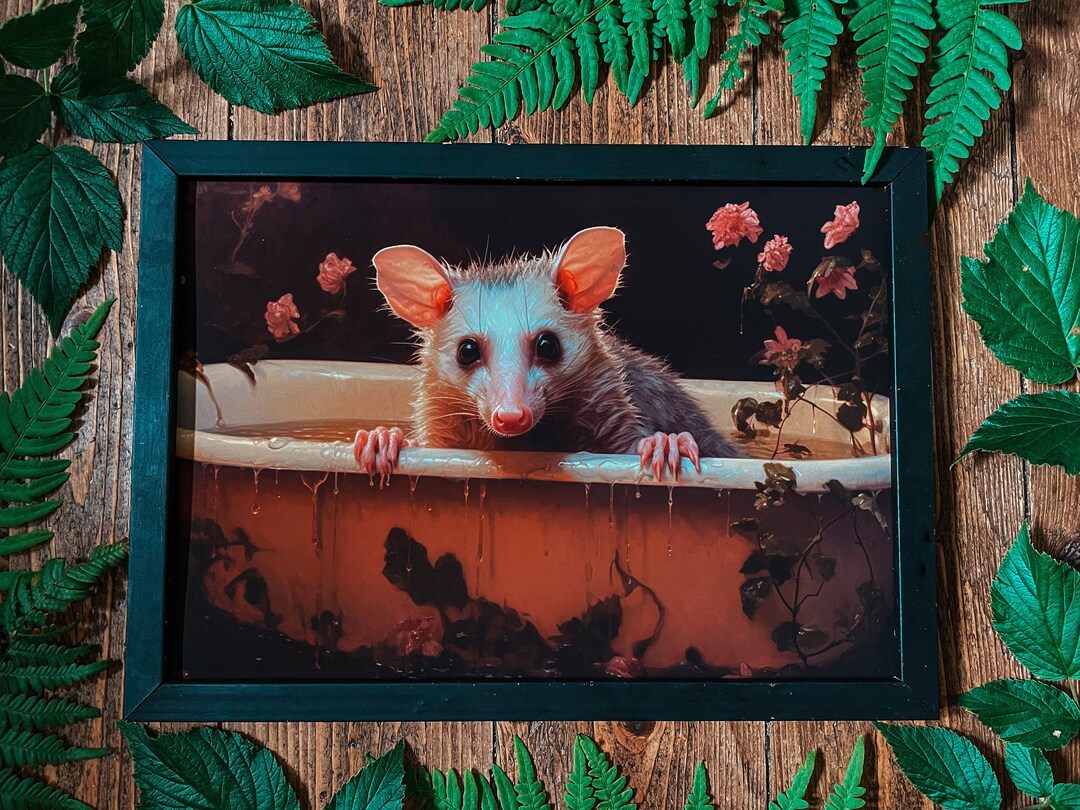 Opossum in Bathtub Art Print Vintage Style Animal Wall Etsy