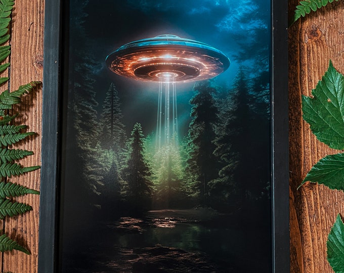Enchanting Encounter Art Print
