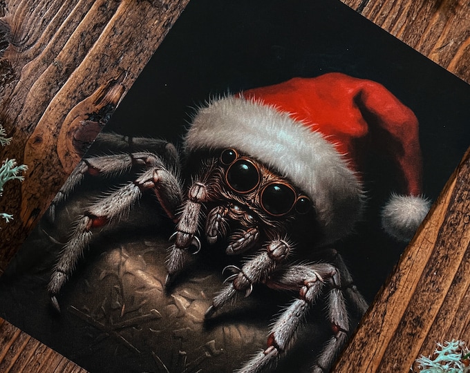 Jumping Spider Christmas Card