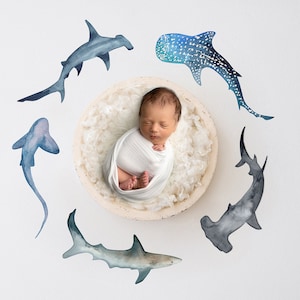 Sale! Digital Nautical and Ocean Themed with Shark Backdrop for Newborn Baby Photography, Cream Bowl Background
