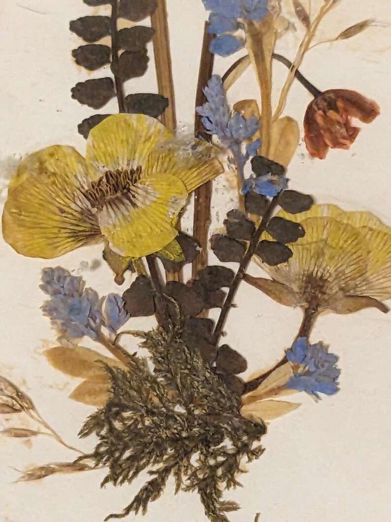 Vintage Dried Pressed Flowers in Gold Frame, Handmade in Tyrol Austria