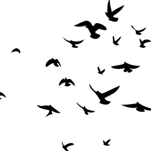 Flock of Birds  Printable wall art