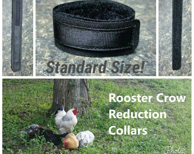 1 STANDARD Rooster Crow Reduction Collar aka No Crow Collar Etsy