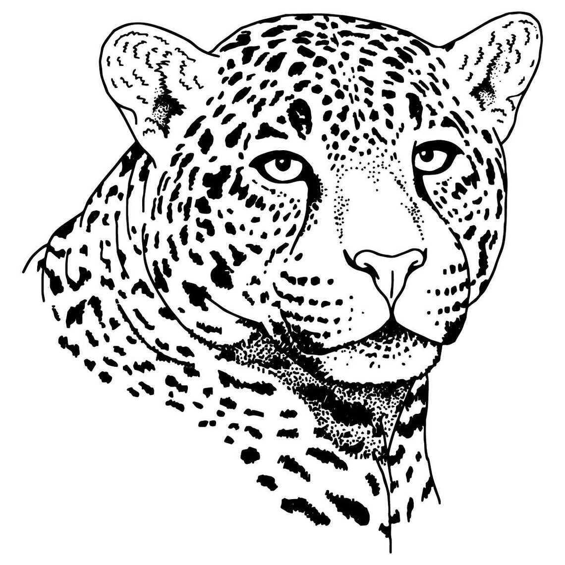 Jaguar Temporary Tattoo Temporary Tattoo Fake Tattoo Etsy