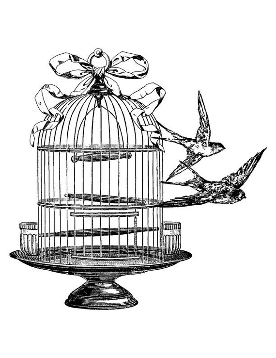 Cage à Oiseaux Tatouage Temporaire Tatouage Temporaire Vintage Vintage Tatouage Temporaire Fausses Tatouages Tattoo De Cage à Oiseaux
