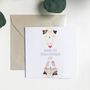 Cat Greeting Card for Best Friend, Love, Birthday Social Distancing, Pandemic Isolation Greeting Card Covid Quarantine