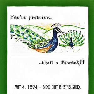 4 de maio de 1894 - é instituído o Dia das Aves. Música sugerida: "Blackbird" dos Beatles