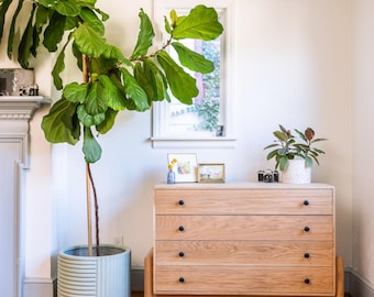 The Lydia Dresser