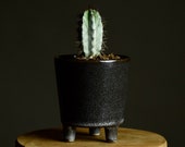 Little Footed Pot