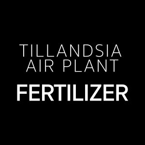 May include: White text on a black background reads "Tillandsia Air Plant Fertilizer".