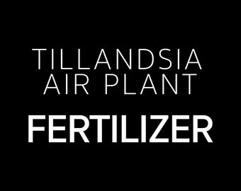 Tillandsia Air Plant Fertilizer