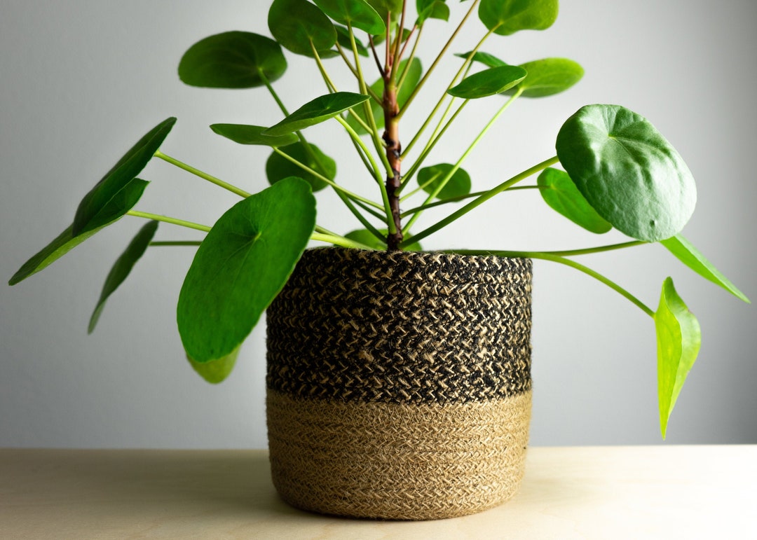 Jute Basket Planter Etsy
