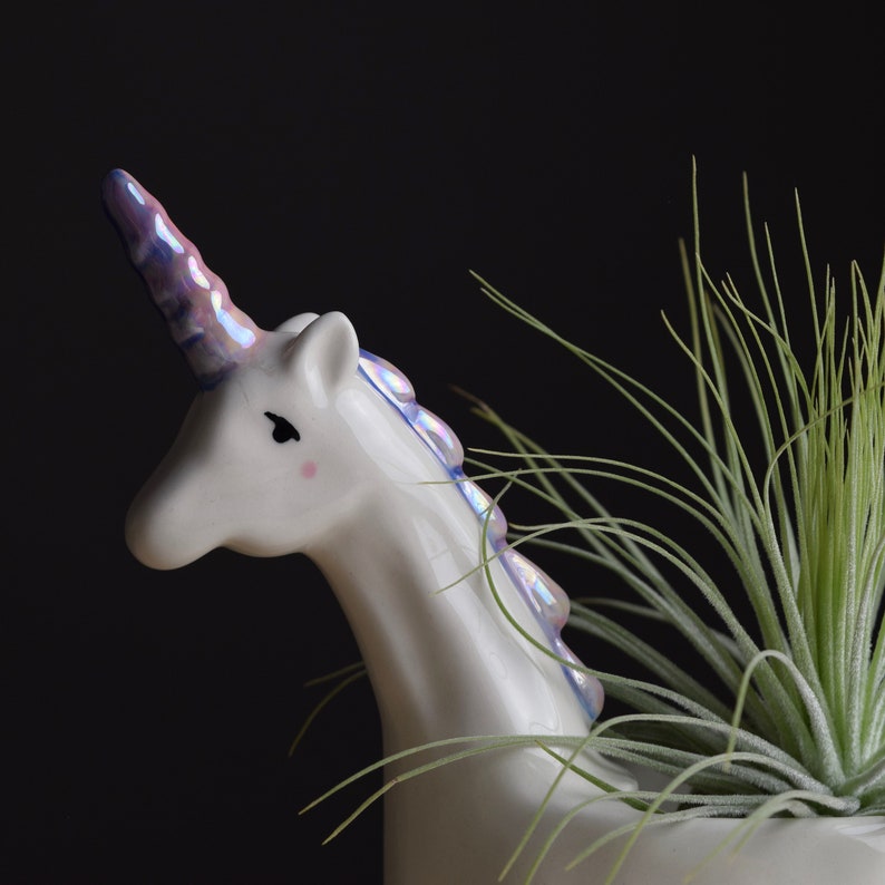 Ceramic Planter Magic Unicorn