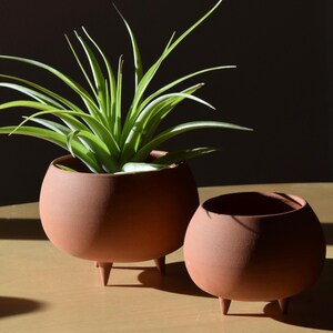Clay Cauldron with Air Plant