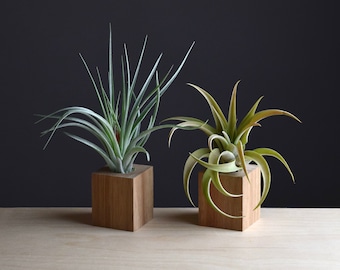 Wood Display