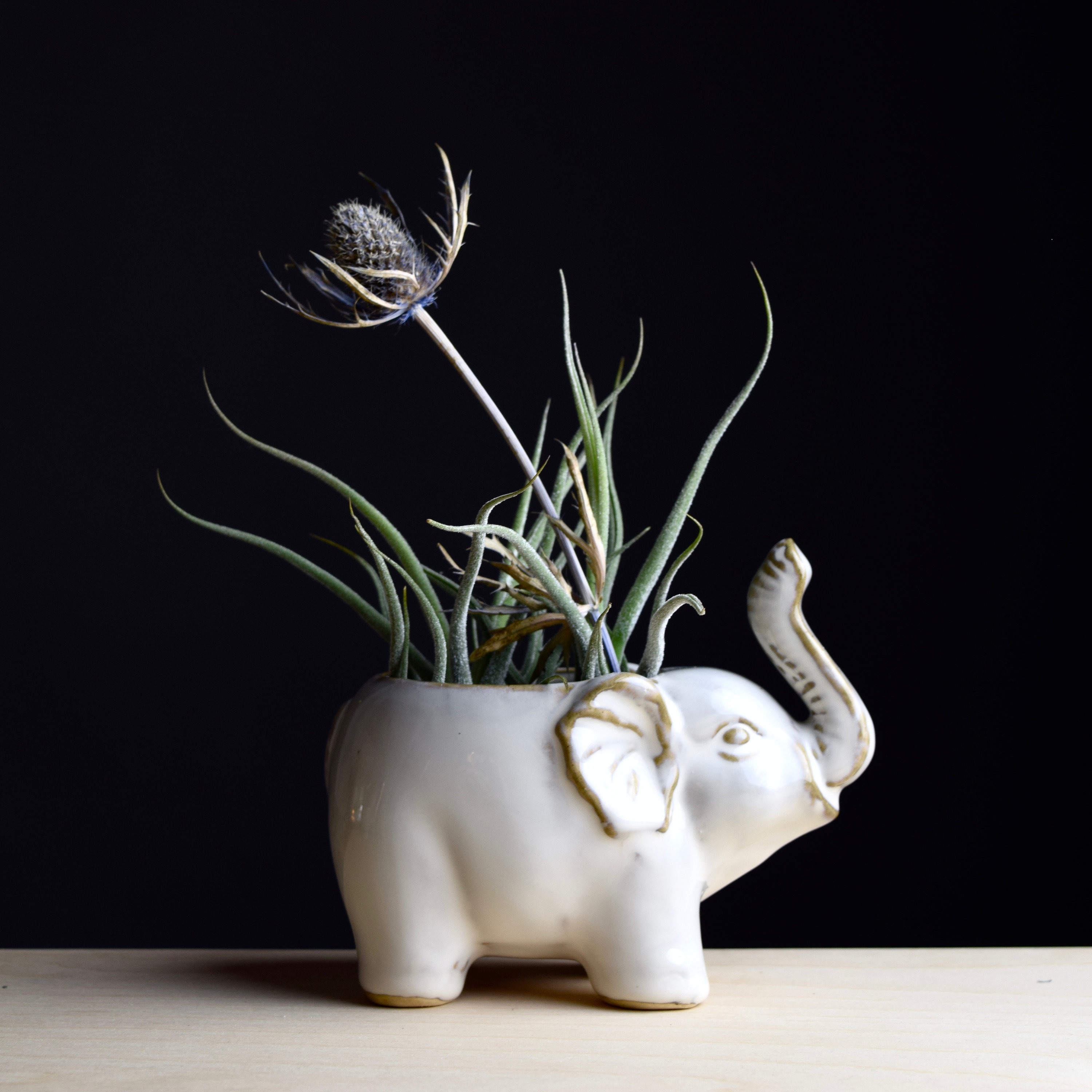 Ceramic Elephant Pot Etsy
