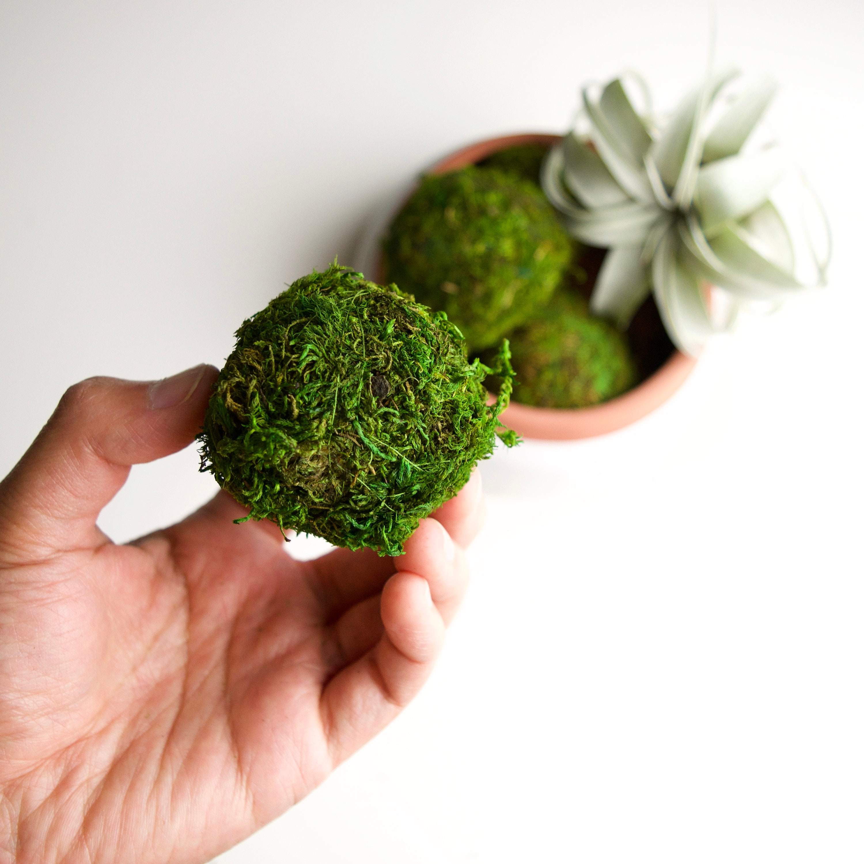 Decorative Artificial Dried Moss Balls with Vine – Floral Supplies Store