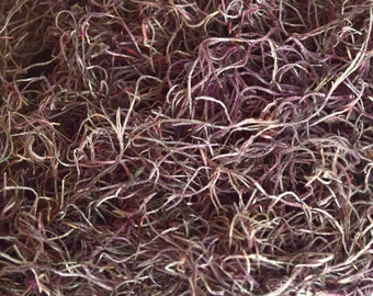 Preserved Spanish Moss - Dusty Rose