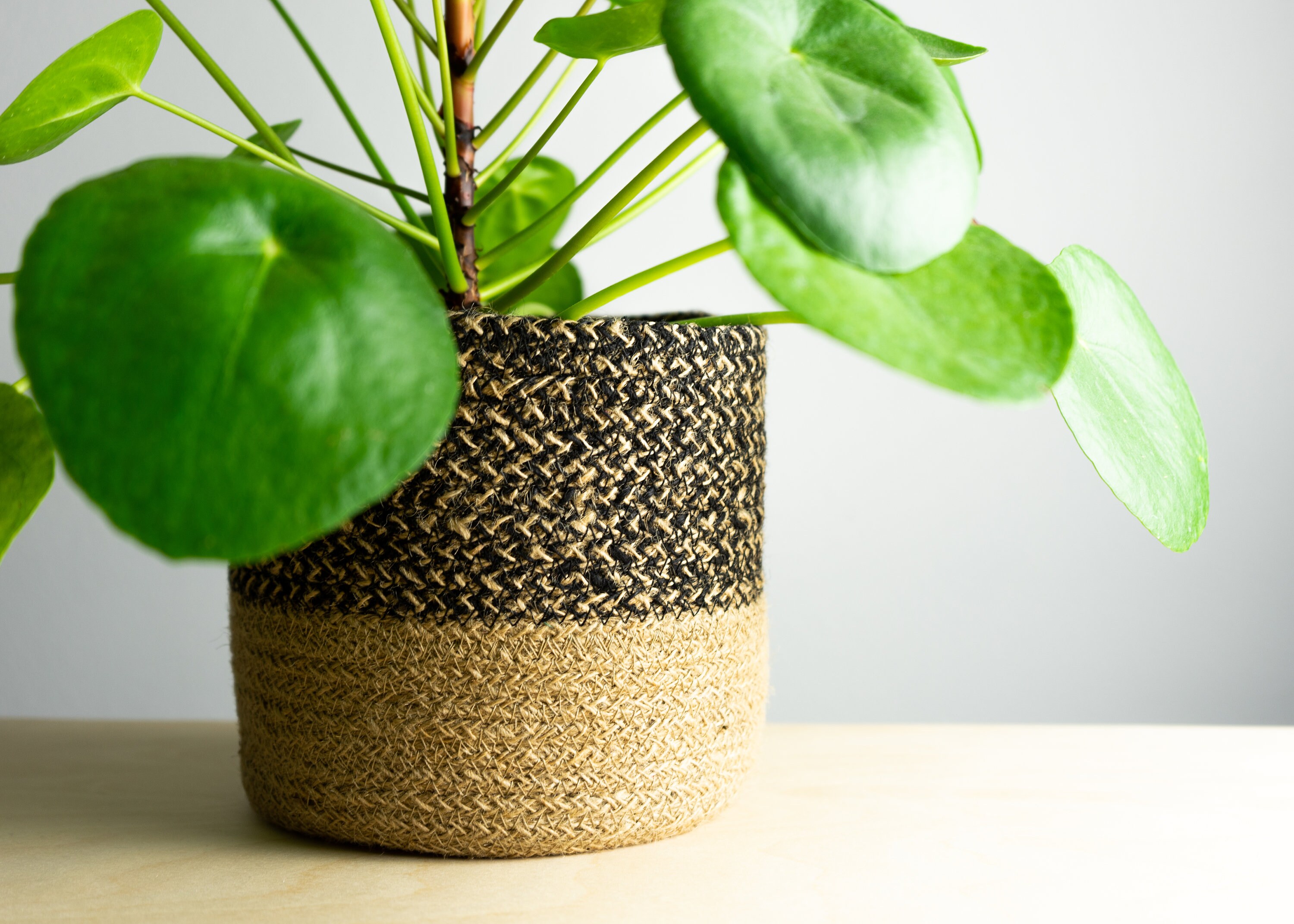 Jute Basket Planter Etsy