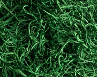 Preserved Spanish Moss - Emerald Green