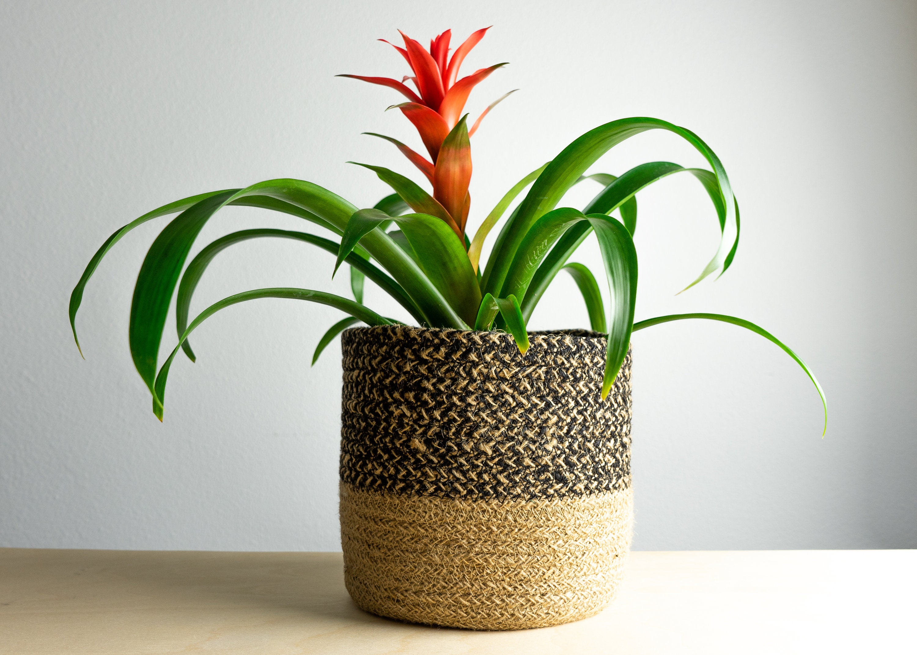 Jute Basket Planter Etsy