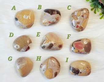 Unique Pudding Stone Red Jasper Conglomerate Palm Stone PICK ONE BONUS Information Card Puddingstones Metaphysical Astral Projection