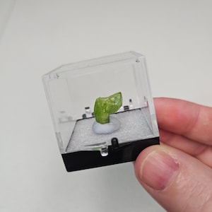 May include: A vibrant green peridot gemstone displayed in a clear, square acrylic case with a black base. The gemstone is mounted on a white foam insert, showcasing its natural, crystalline structure. The case is held by a hand.