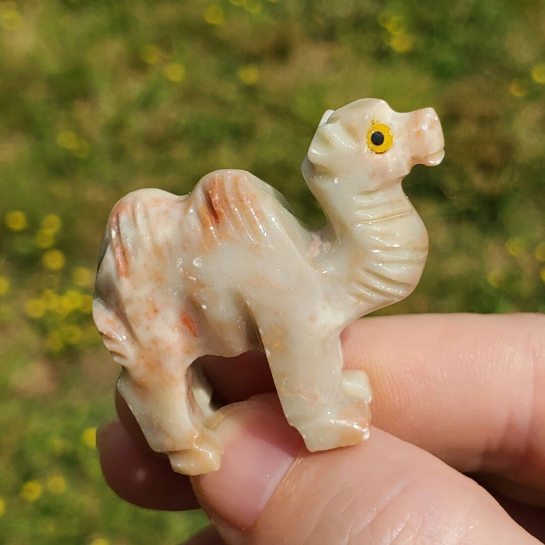 Soapstone Camel Carving Hump Day Crystals Minerals Stones Natural