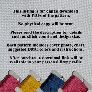 Four Leaf Clover and Celtic Knot - Cross Stitch Pattern: Easy Chart (Digital PDF) image 9