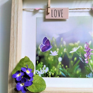 May include: A light wood shadow box frame containing a photograph of a purple butterfly and white flowers. A small wooden clothespin holds a pink tag with the word LOVE printed in black. Artificial purple flowers and green leaves are attached.