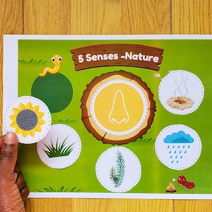Nature Five Senses Sorting Activity, Human Anatomy, Learn 5 Senses Game, Kindergarten Worksheet, Toddler 5 Senses Classification Printable