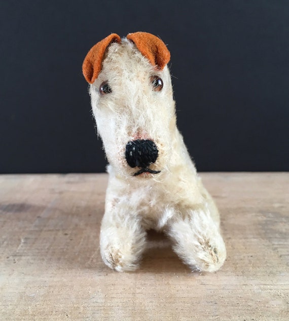 toy wire haired fox terrier