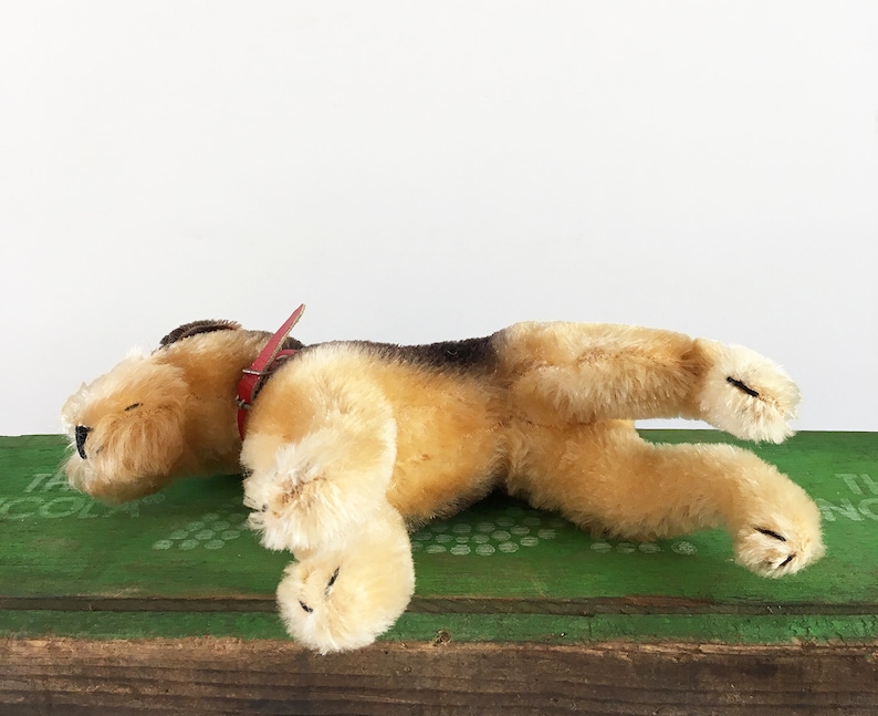 Vintage Steiff Terry collectible German toy Airedale Terrier stuffed animal with original collar dog lover gift circa 1950