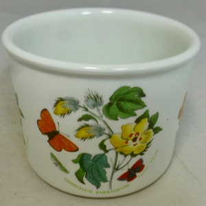 Vintage Portmeirion Botanischer Garten Med Gelb Barbados Baumwollblume Gossypium Barbadense Planter Jardinière 5 in D - Crest ID Stamp England