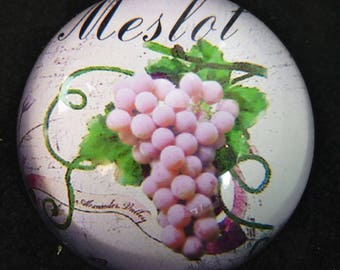 Boxed Hand Blown Glass Dome With Vintage Style Merlot and Bunch of 