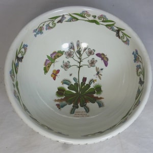 Seltene Portmeirion Vintage Botanischer Garten Venusfliegenfalle Dionaea Muscipula & Motten Große 10in D Servier / Pasta Schüssel - England Retired Design