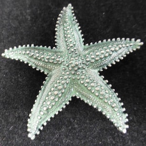 Vintage Starfish Silver Pewter and Iridescent Green Blue Enamel Pin Brooch Victorian Sea Life / Ocean Themed Costume Jewellery image 1