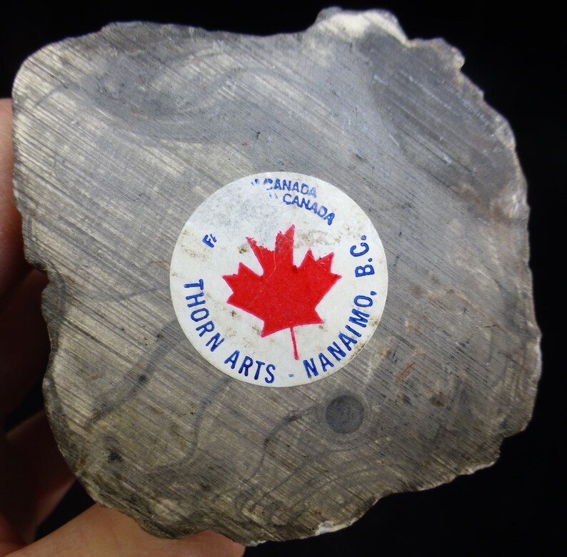 Hand carved Eskimo Tribal Art Nanaimo British Caledonia Canada Thorn