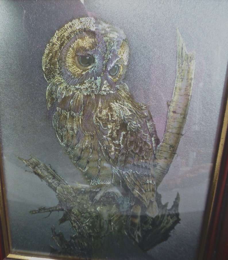 以下が含まれることがあります： 枝に止まっている茶色と白のフクロウの額装されたプリント。フクロウは大きく暗い目を持ち、真剣な表情をしています。背景は薄いグレーです。