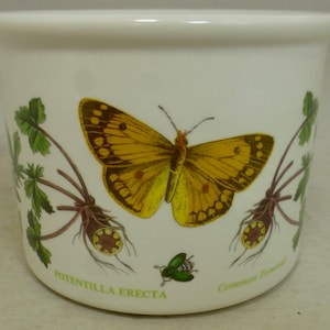 Vintage seltene Portmeirion Botanischer Garten Gemeinsame Tormentil Potentilla Erecta Schmetterling Pflanzer Jardinière 4,5 in D - Crest ID Stamp - England