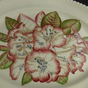 Johnson Brothers Pink Rhododendron Flower Vintage Large Oval Serving Plate Old Flower Prints 12 in English Floral China no 15542 image 4