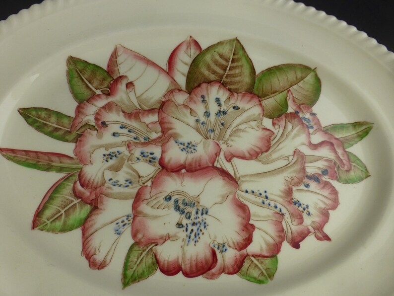 Johnson Brothers Pink Rhododendron Flower Vintage Large Oval Serving Plate Old Flower Prints 12 in English Floral China no 15542 image 4