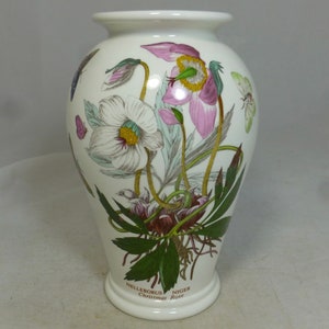 Vintage Portmeirion Botanischer Garten Blumen Weihnachtsrose 8,25 Zoll H große Canton Vase - Helleborus Niger Blumendesign - Wappen ID Stempel