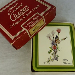 Puede incluir: Un juego de seis posavasos lacados con un borde verde y un centro blanco que presenta una ilustración botánica de una mariposa y flores silvestres. La caja es roja y dice "6 Coasters lacados" y "6 Dessous de verre laqués" en francés. El texto "Wild Flowers" también es visible en la caja.