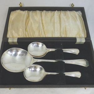 Set di 1 cucchiaio da portata grande e 6 cucchiai da frutta/dessert vintage placcati in argento Art Déco con custodia - Manici decorativi e di alta qualità - EPNS inglese
