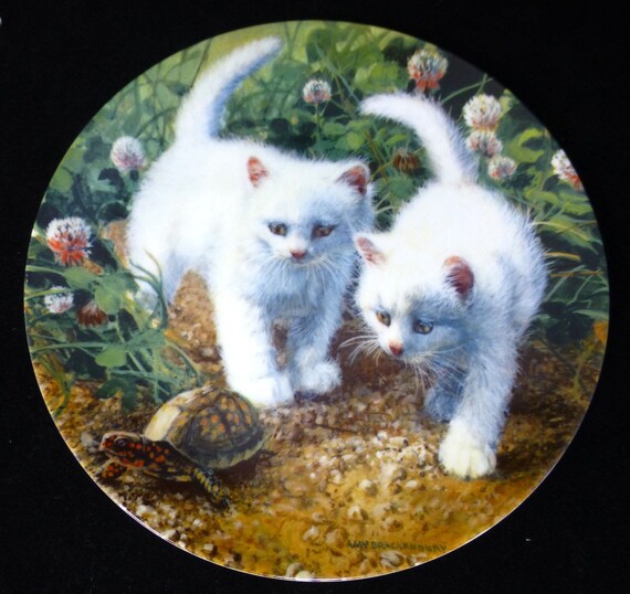 A Chance Meeting White American Shorthairs Porcelain Etsy